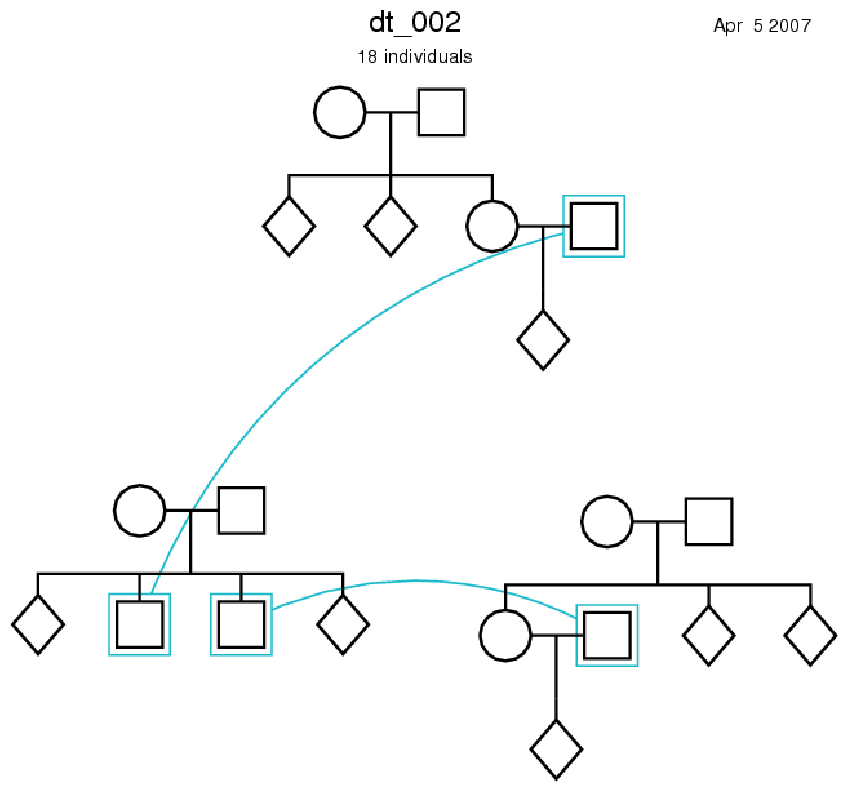 Cranefoot dt_002 output