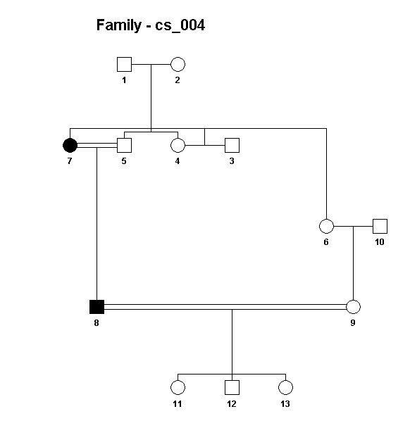 Haplopainter cs_004 output