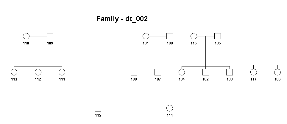 Haplopainter dt_002 output