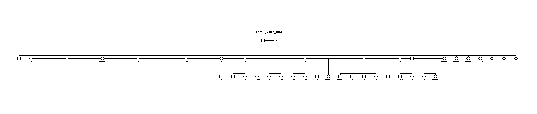 Haplopainter ms_004 output