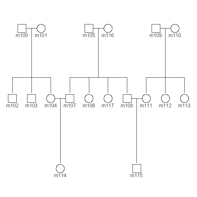 Kinship dt_002 output